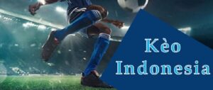 Kinh nghiệm chơi Indo Odds từ cao thủ